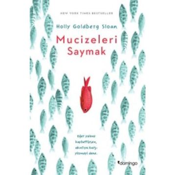 Mucizeleri Saymak - Holly Goldberg Sloan