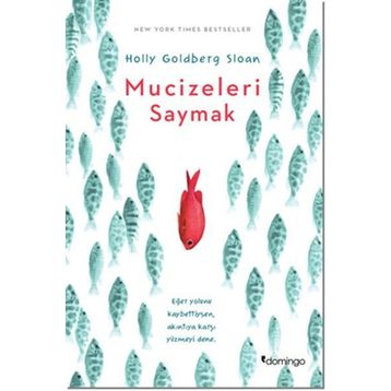 Mucizeleri Saymak - Holly Goldberg Sloan