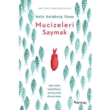 Mucizeleri Saymak - Holly Goldberg Sloan