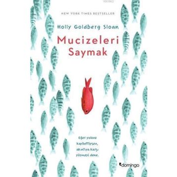Mucizeleri Saymak - Holly Goldberg Sloan