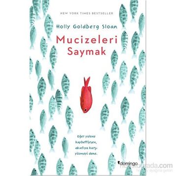 Mucizeleri Saymak - Holly Goldberg Sloan