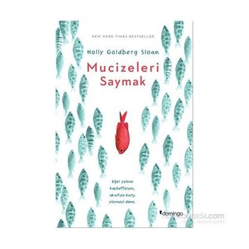 Mucizeleri Saymak - Holly Goldberg Sloan