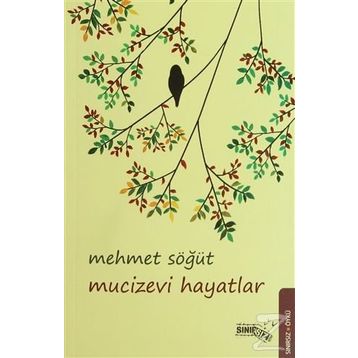 MUCIZEVI HAYATLAR - MEHMET SÖĞÜT