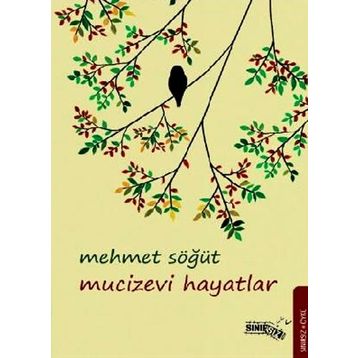 MUCIZEVI HAYATLAR - MEHMET SÖĞÜT