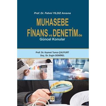 Muhasebe-Finans ve Denetimde Güncel Konular - Engin Demirel