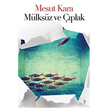 Mülksüz ve Çıplak - Mesut Kara