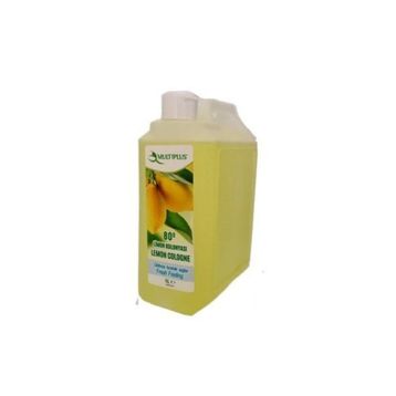 Multiplus 1 lt Limon Kolanyası