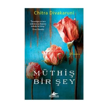 Müthiş Bir Şey - chitra banarjee divakaruni
