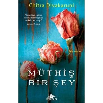 Müthiş Bir Şey - chitra banarjee divakaruni