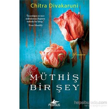 Müthiş Bir Şey - chitra banarjee divakaruni