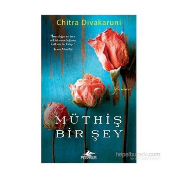 Müthiş Bir Şey - chitra banarjee divakaruni