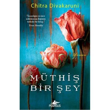 Müthiş Bir Şey - chitra banarjee divakaruni