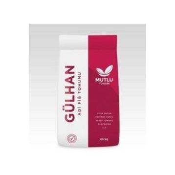 Mutlu 5 kg Adi Fig Tohumu