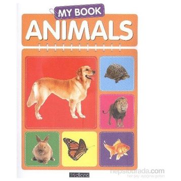My Book Animals - Heyet-Kurul-Komisyon