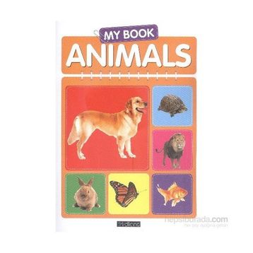 My Book Animals - Heyet-Kurul-Komisyon