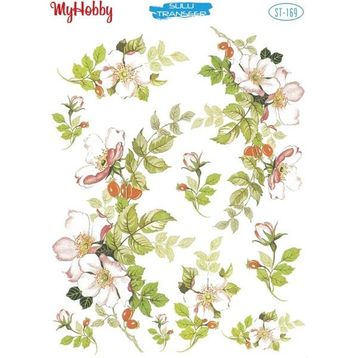 My Hobby ST-169 25x35 CM Sulu Transfer