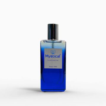 Mystical Parfumeur E-D02 100 ml Erkek Parfüm