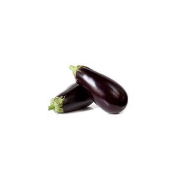 Nadir 10 Adet Dev Patlıcan Tohumu
