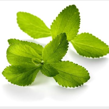 Nadir 10 Adet Stevia Tohumu Şeker Otu Tohumu
