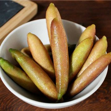 Nadir 3 Adet Parmak Limon Tohumu