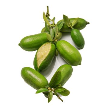 Nadir 3 Adet Parmak Limon Tohumu