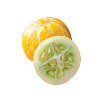 Nadir 5 Adet Limon Salatalık Tohumu
