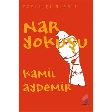 Nar Yokuşu - Kamil Aydemir