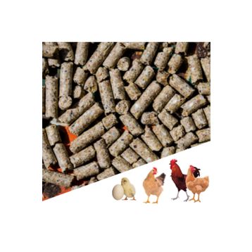 Narım 20 kg Pelet Proteinli Özel Tavuk Kaz Ördek ve Kanatlı Hayvan Besi Yumurta Yemi