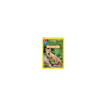 National Geographic Kids - Ormanda: Seviye 1