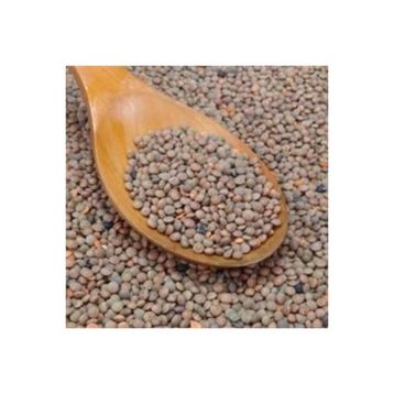 Natural Köy Ürünleri 1 kg Antep Kahverengi Mercimek