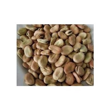 Natural Köy Ürünleri 500 gr Kuru Bakla