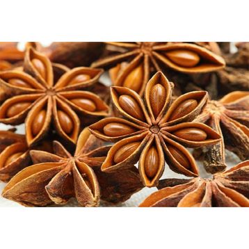 Naturdan 100 gr Yıldız Anason