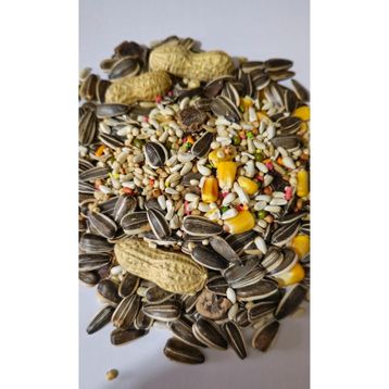 Nature Plan 1 kg Açık Jako Amazon Kakadu Papağanı Yemi