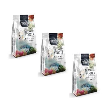 Nature Plan 500 gr (3 ADET) Meyve Aromalı Ballı Muhabbet Kuşu Yemi