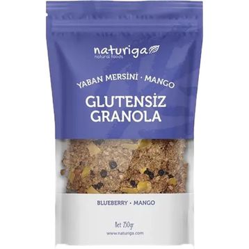 Naturiga Glutensiz Yaban Mersini & Mango Granola 250 gr