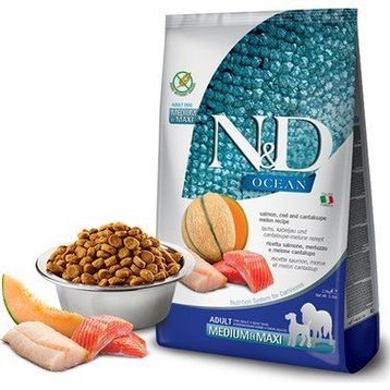 N&D 2.5 kg Ocean Somon Morina Kavun Adult Mini Köpek Maması