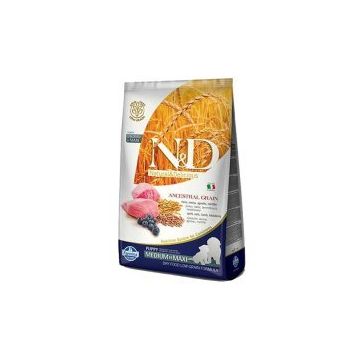 N&D Az Tahıllı Kuzulu Yavru Orta ve Büyük Irk 12 kg Köpek Maması