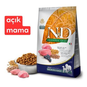 N&D Kuzu Etli ve Yaban Mersinli Orta ve Büyük Irk Düşük Tahıllı 1 kg Yetişkin Köpek Açık Maması