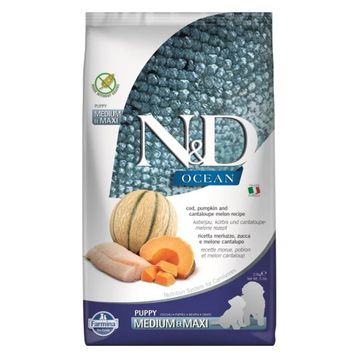 N&D Ocean 2,5 kg Morina Balıklı BalKabaklı Kavunlu Orta ve Büyük Irk Köpek Maması