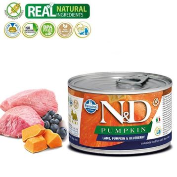 N&D Pumpkin Balkabaklı Kuzulu Yaban Mersinli 140 gr Köpek Konservesi