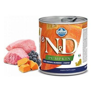 N&D Pumpkin Balkabaklı Kuzulu Yaban Mersinli Starter Tahılsız 285 GR Yavru Köpek Konservesi