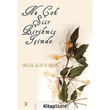 NE ÇOK ŞİİR BİRİKMİŞ İÇİMDE - DILEK ALTUN DEDE