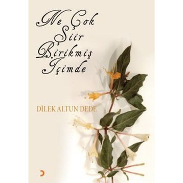 NE ÇOK ŞİİR BİRİKMİŞ İÇİMDE - DILEK ALTUN DEDE