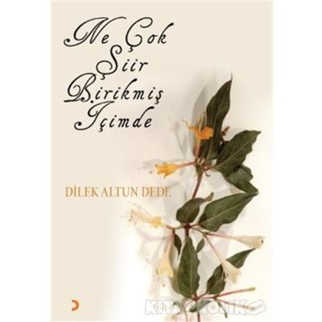 NE ÇOK ŞİİR BİRİKMİŞ İÇİMDE - DILEK ALTUN DEDE