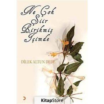 NE ÇOK ŞİİR BİRİKMİŞ İÇİMDE - DILEK ALTUN DEDE