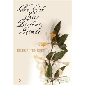 NE ÇOK ŞİİR BİRİKMİŞ İÇİMDE - DILEK ALTUN DEDE