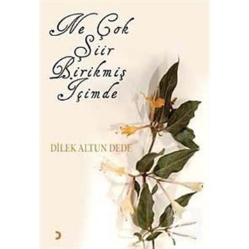 NE ÇOK ŞİİR BİRİKMİŞ İÇİMDE - DILEK ALTUN DEDE