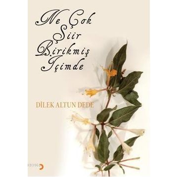 NE ÇOK ŞİİR BİRİKMİŞ İÇİMDE - DILEK ALTUN DEDE