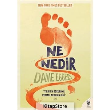 NE NEDIR - DAVE EGGERS