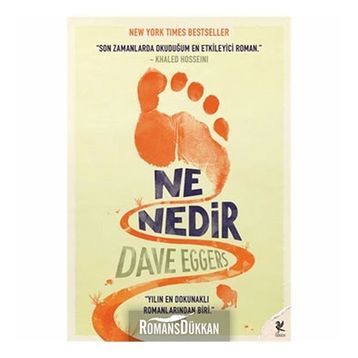 NE NEDIR - DAVE EGGERS